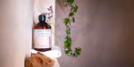 PARFUM DE LESSIVE - POUDRE D'ARGAN